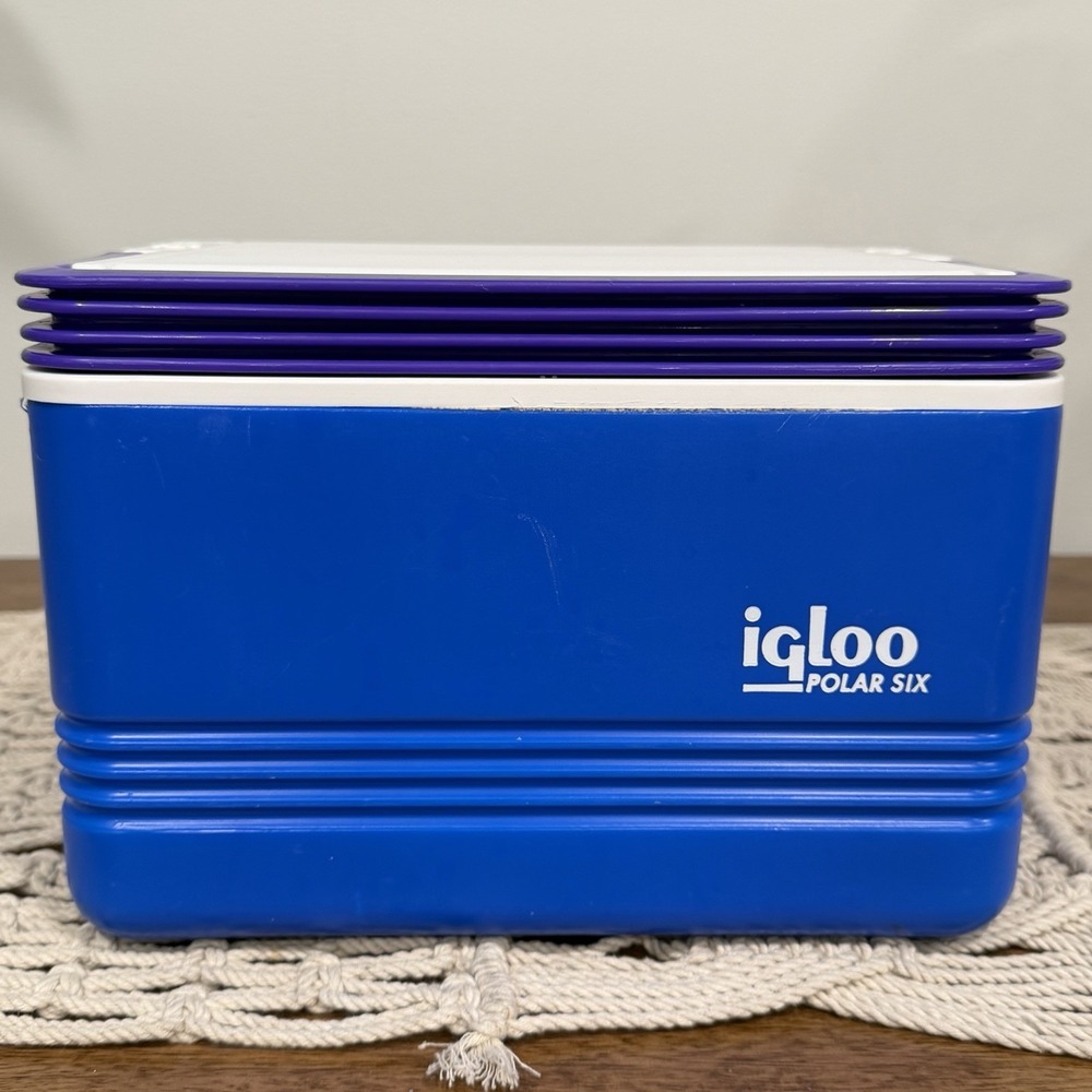Vtg Igloo Polar Six Cooler Blue White 6 Pack Cans Purple Handle 5 Liter 5.3 Qt